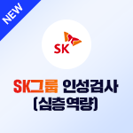SK그룹 심층역량(인성검사)