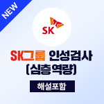 SK그룹 심층역량(인성검사)(해설강의포함)