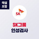 SK그룹 심층역량(인성검사)(해설강의포함)