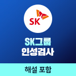 SK그룹 심층역량(인성검사)(해설강의포함)