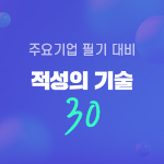 대기업 적성의 기술 30