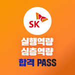 SK 실행 X 심층역량 합격 PASS